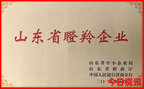 带父母最值得一去的地方